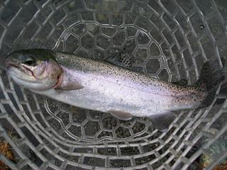 f0065341_2345127.jpg