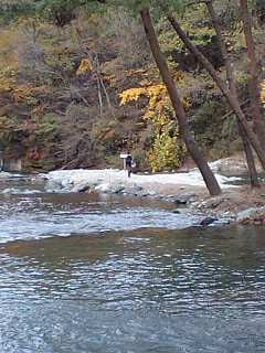 f0065341_23475287.jpg