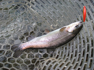 f0065341_23523588.jpg