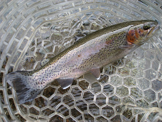 f0065341_23525635.jpg