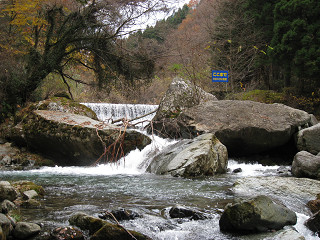 f0065341_23581368.jpg