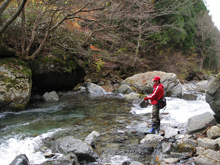 f0065341_23591369.jpg