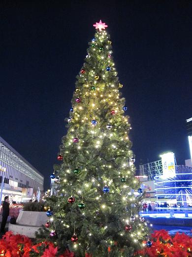 f0108049_22563936.jpg