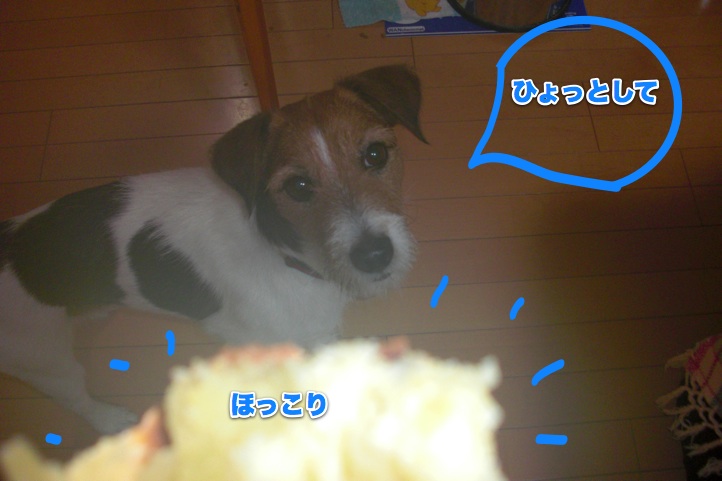 f0077150_2315233.jpg
