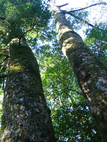 c0179351_20471070.jpg
