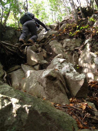 c0179351_20503128.jpg