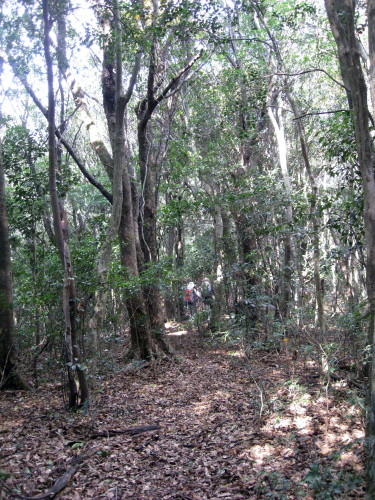 c0179351_2051030.jpg