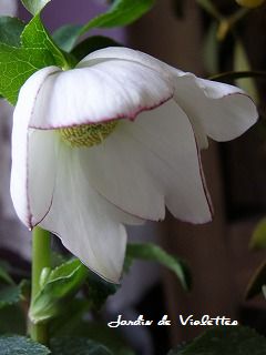 e0118257_16222349.jpg