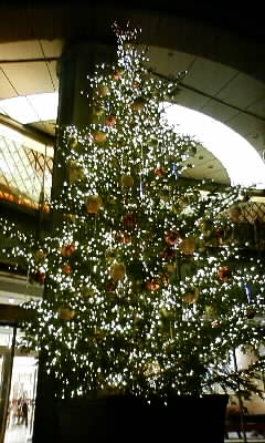 c0127366_0474077.jpg