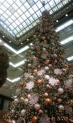 c0127366_0502645.jpg