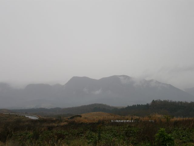 c0042869_2043475.jpg