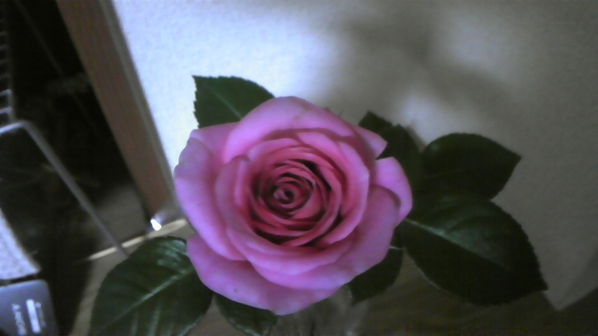 c0202870_9553685.jpg