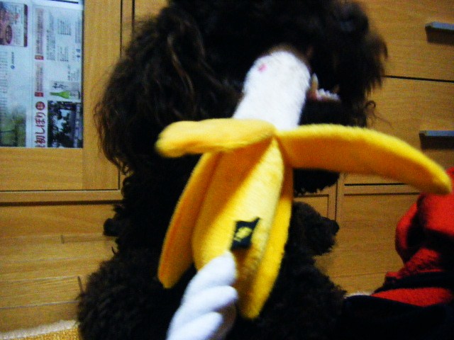 f0207970_2235205.jpg