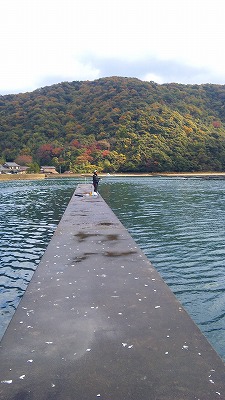 a0120877_17494318.jpg