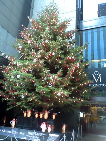 b0034381_20533927.jpg
