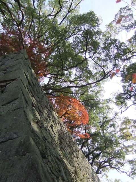 e0132881_1394822.jpg
