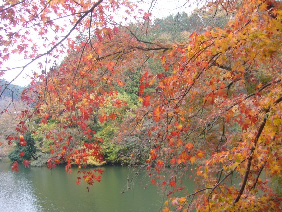 f0178381_2281363.jpg
