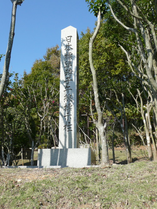 b0118987_6141431.jpg