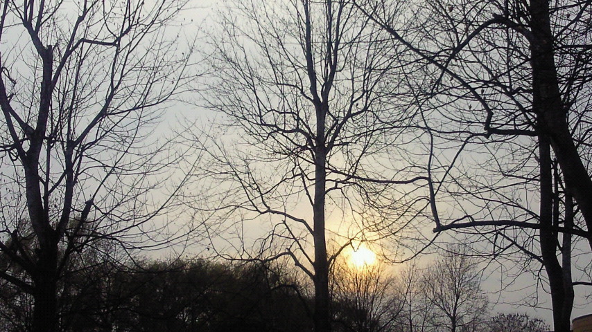 e0175288_1032432.jpg