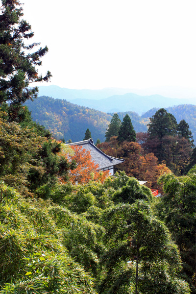 c0153292_12544086.jpg