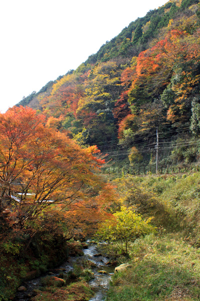c0153292_1312487.jpg