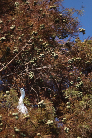 d0133693_22192360.jpg