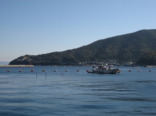 a0113394_11471837.jpg