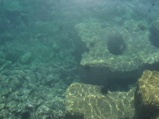 a0113394_11472695.jpg