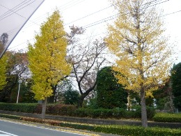 c0182096_504950.jpg