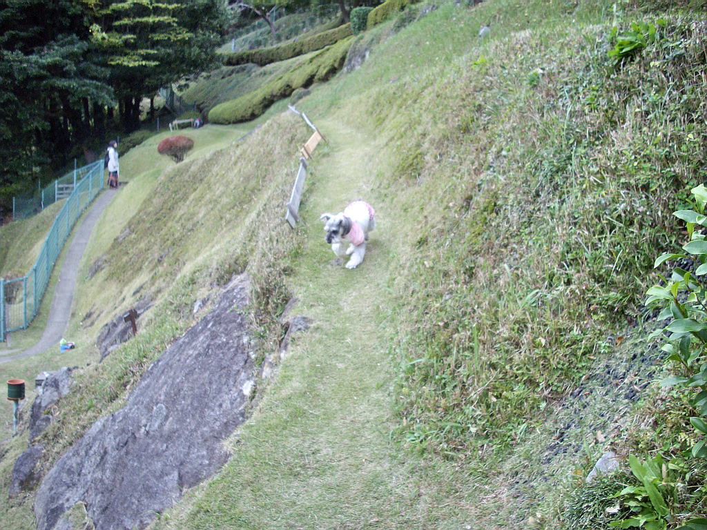 c0138198_16143799.jpg