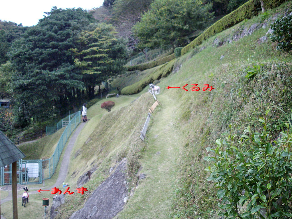 c0138198_1620648.jpg