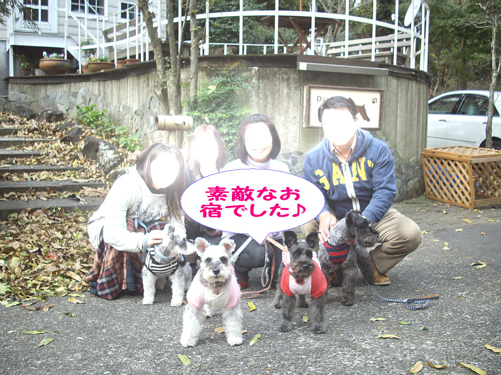c0138198_164289.jpg