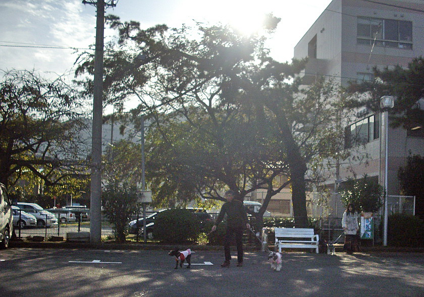 c0138198_16454790.jpg