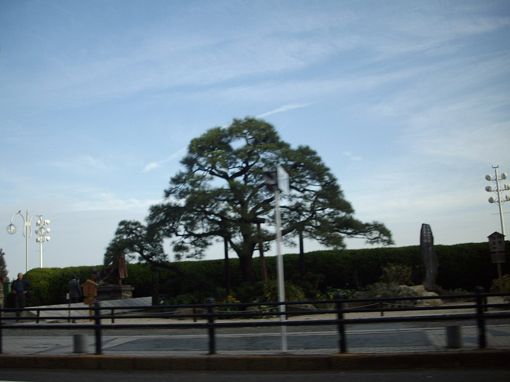 c0138198_16482555.jpg