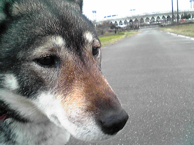 f0079202_0303855.jpg