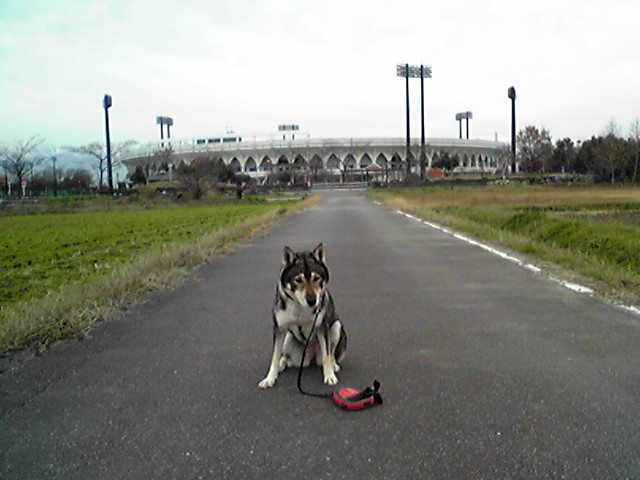 f0079202_0303861.jpg