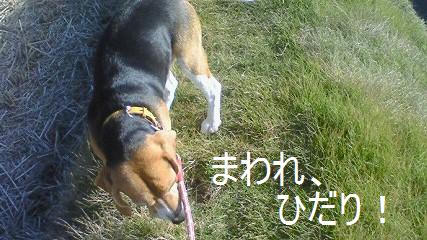 c0205806_19272951.jpg