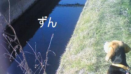 c0205806_19275724.jpg