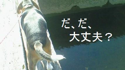 c0205806_19315090.jpg