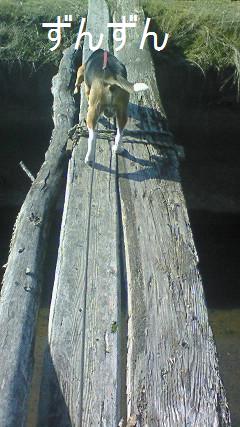 c0205806_19331839.jpg