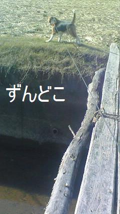c0205806_19334981.jpg