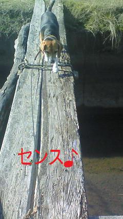 c0205806_19343584.jpg
