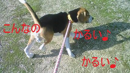 c0205806_19402186.jpg