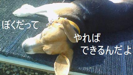 c0205806_19452571.jpg