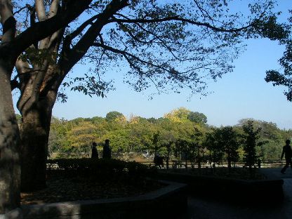 c0205806_197094.jpg