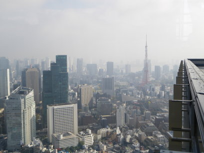 f0041311_05432.jpg