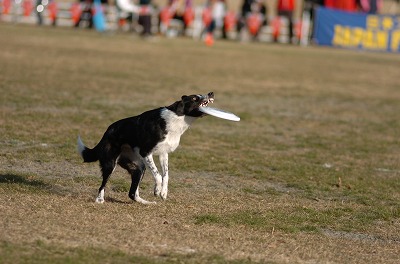e0121418_024377.jpg