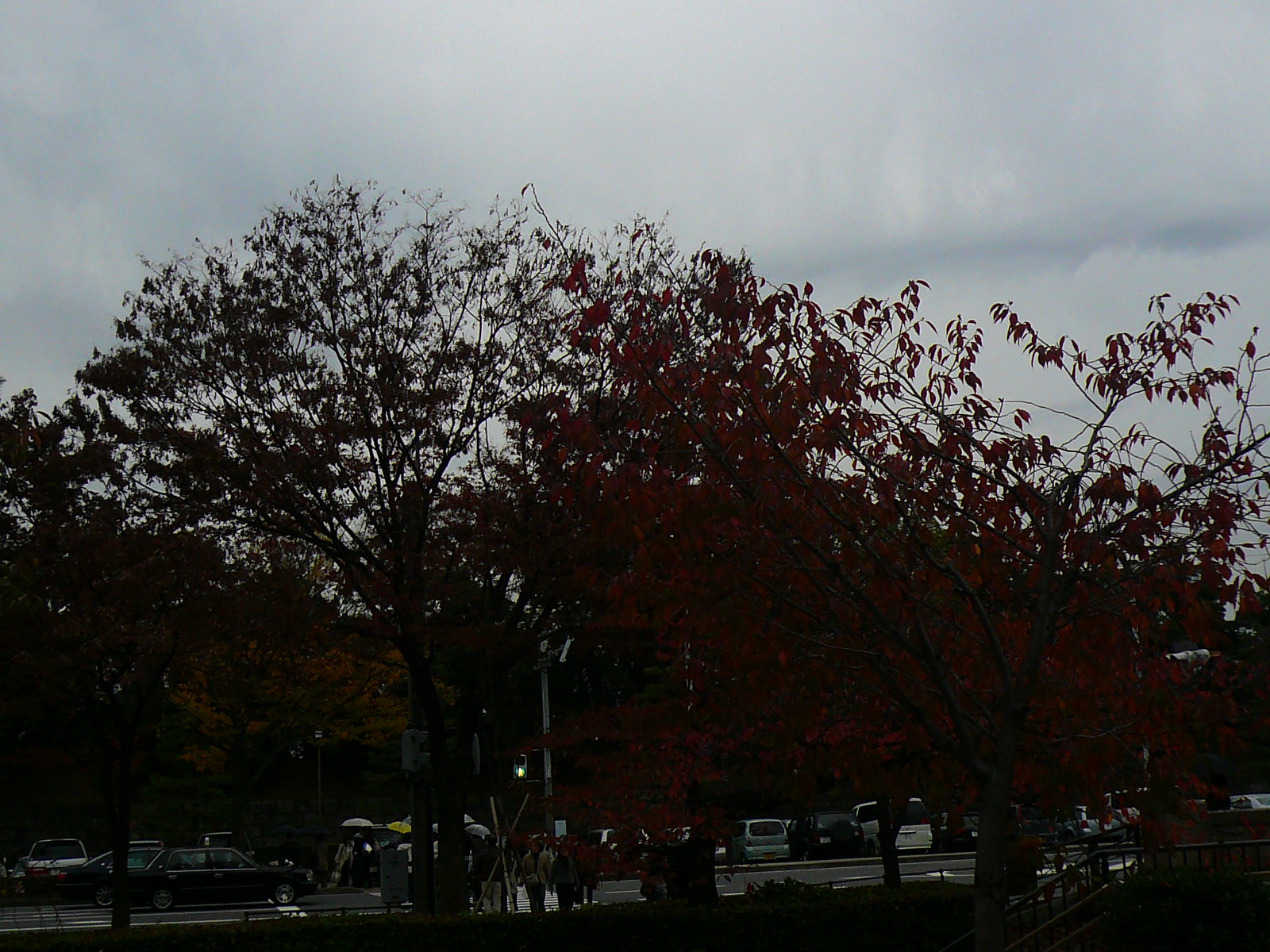 f0163920_1636356.jpg