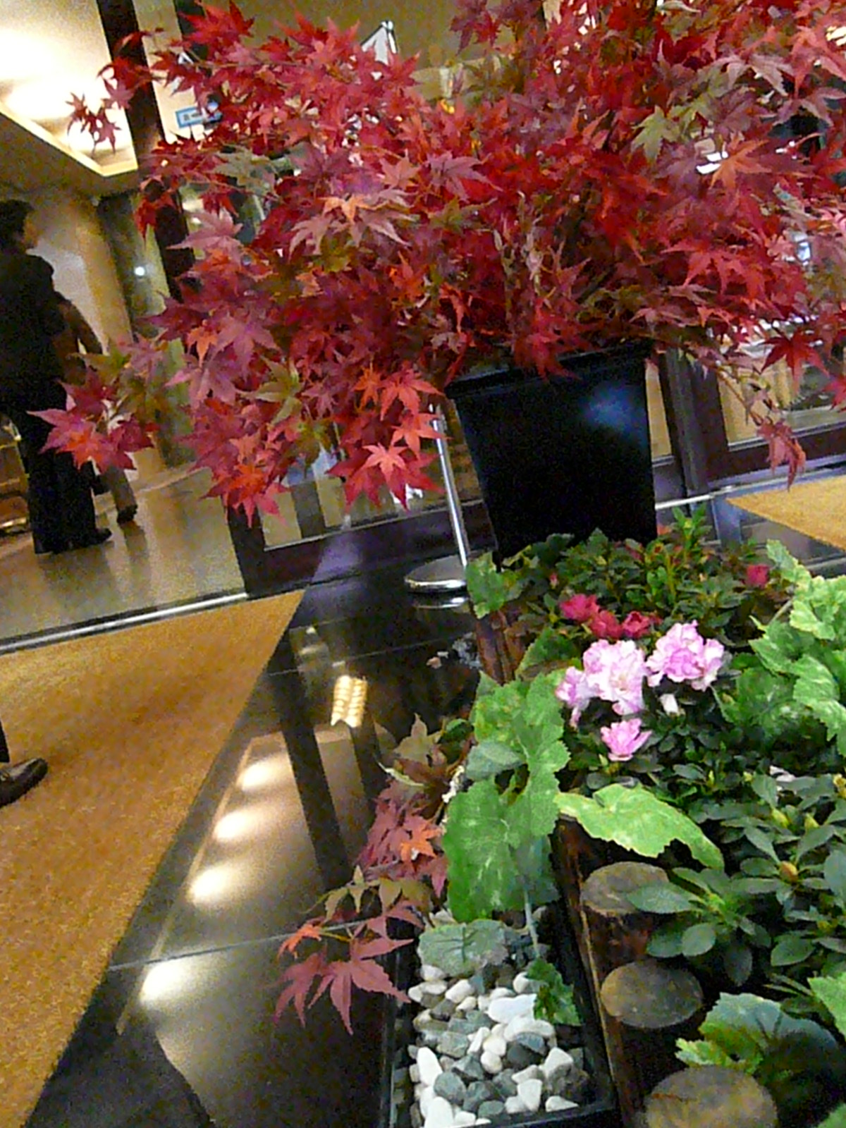 f0163920_1640191.jpg