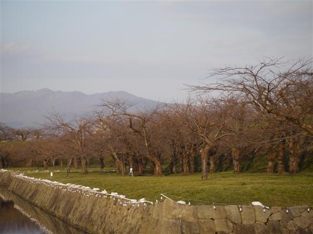 b0171523_12221694.jpg